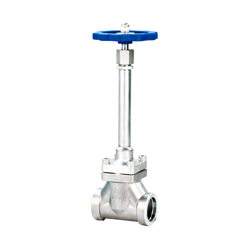 304/316 Stainless Steel Long Stem Cryogenic Globe Valve